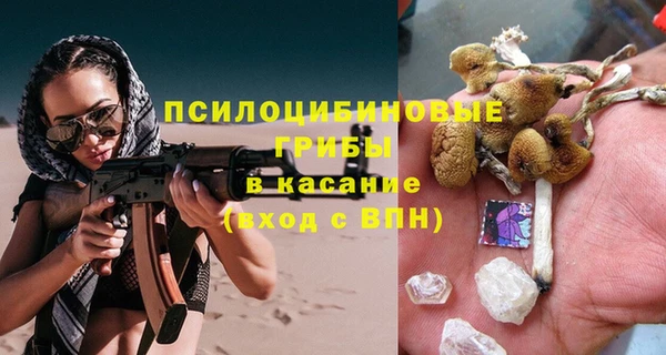 первитин Алексин