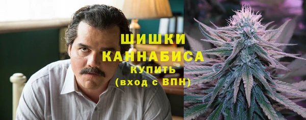 дурь Алзамай