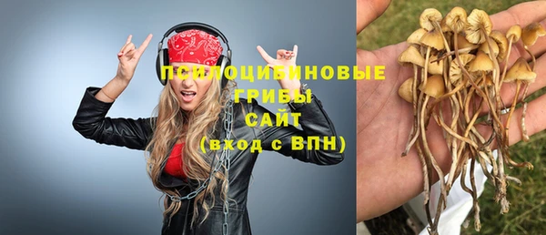 первитин Алексин